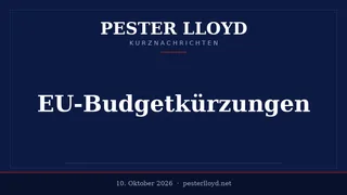 EU-Budgetkürzungen - Irischer Vorschlag sorgt für Spannungen